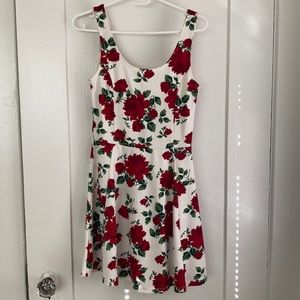 H&M Rose Dress